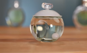 Mejores Perfumes 2025